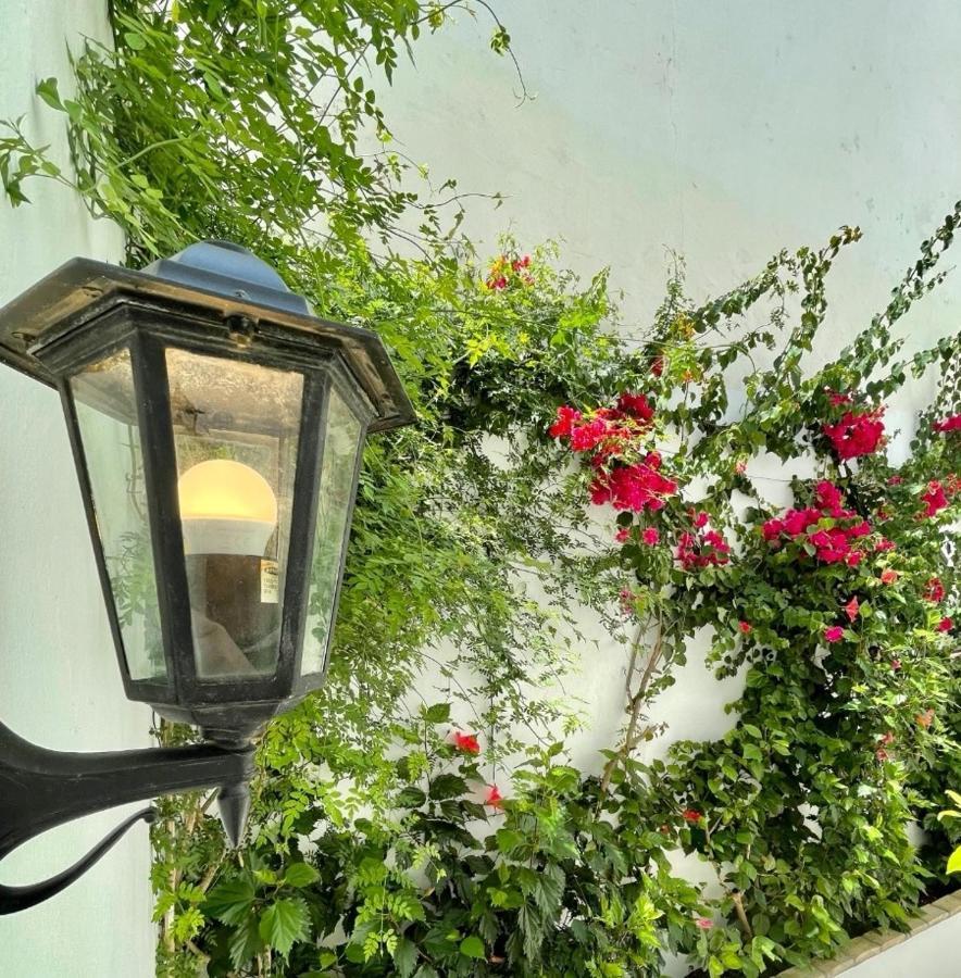Gatu Premium Apartamento Palacio Oneto Con Jardin Privado " Preferente Mayores De 25 Anos Y Familias " エル・プエルト・デ・サンタ・マリア エクステリア 写真